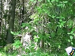6 free voyeur movies