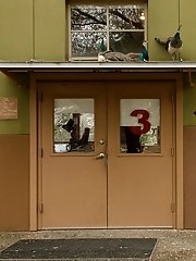 8 free voyeur pictures
