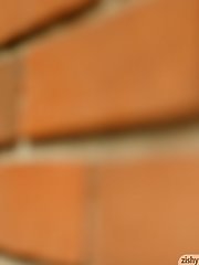 8 free voyeur pictures