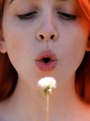 Wanda Ablee Deep in the Heart