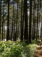 8 free voyeur pictures