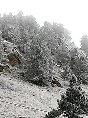 9 free voyeur pictures