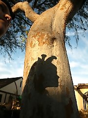 8 free voyeur pictures
