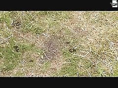 5 free voyeur movies