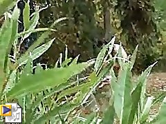12 free voyeur movies