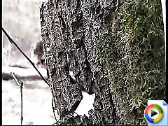 Horny teen peeing in forest Part 4